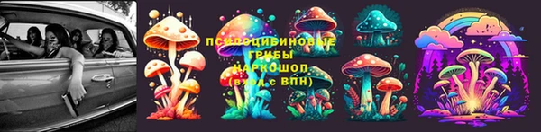 apvp Арсеньев