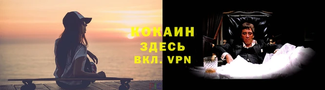 apvp Арсеньев