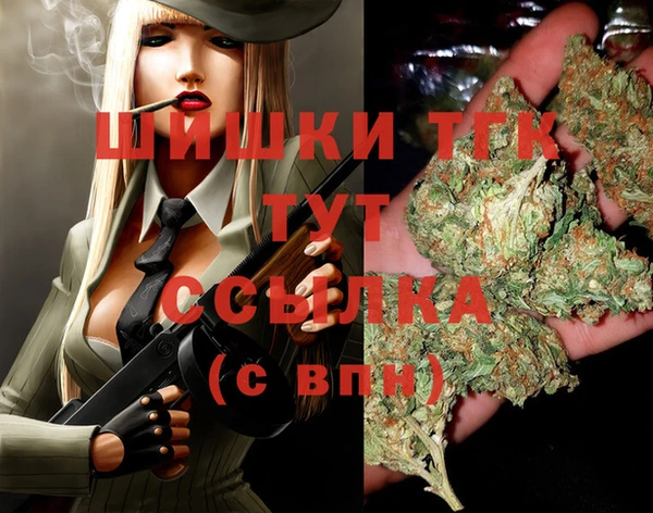 винт Армянск