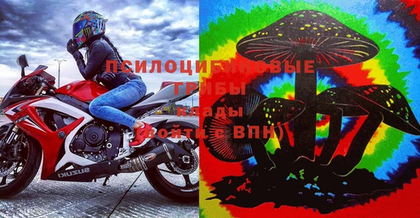 винт Армянск