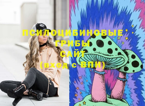 винт Армянск