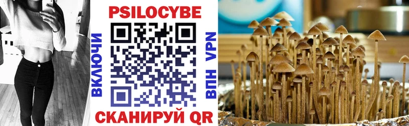 купить наркотики цена  Отрадный  Галлюциногенные грибы Psilocybe 